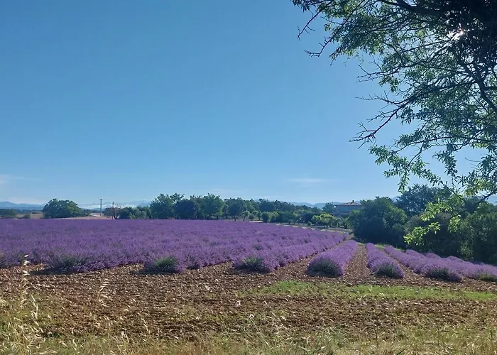 Gites Lou Limbert Plateau De Valensole