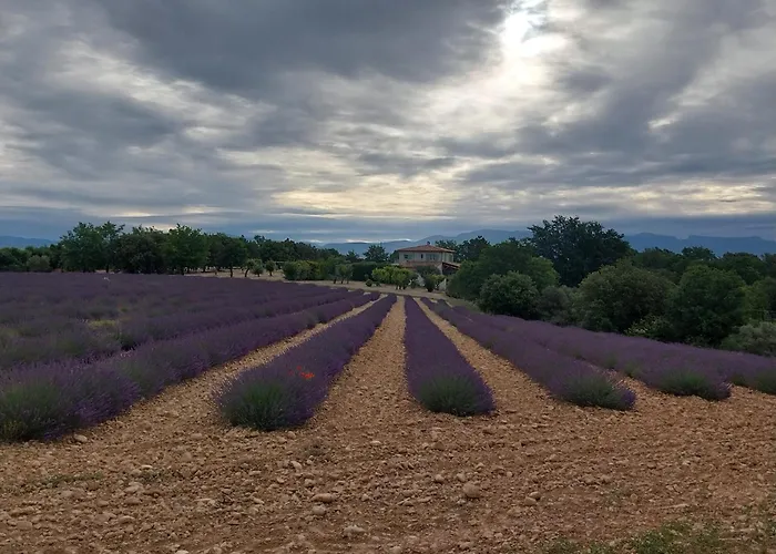 Gites Lou Limbert Plateau De Valensole