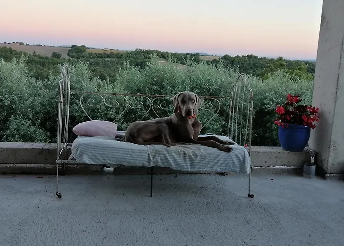 Gites Lou Limbert Plateau De Valensole
