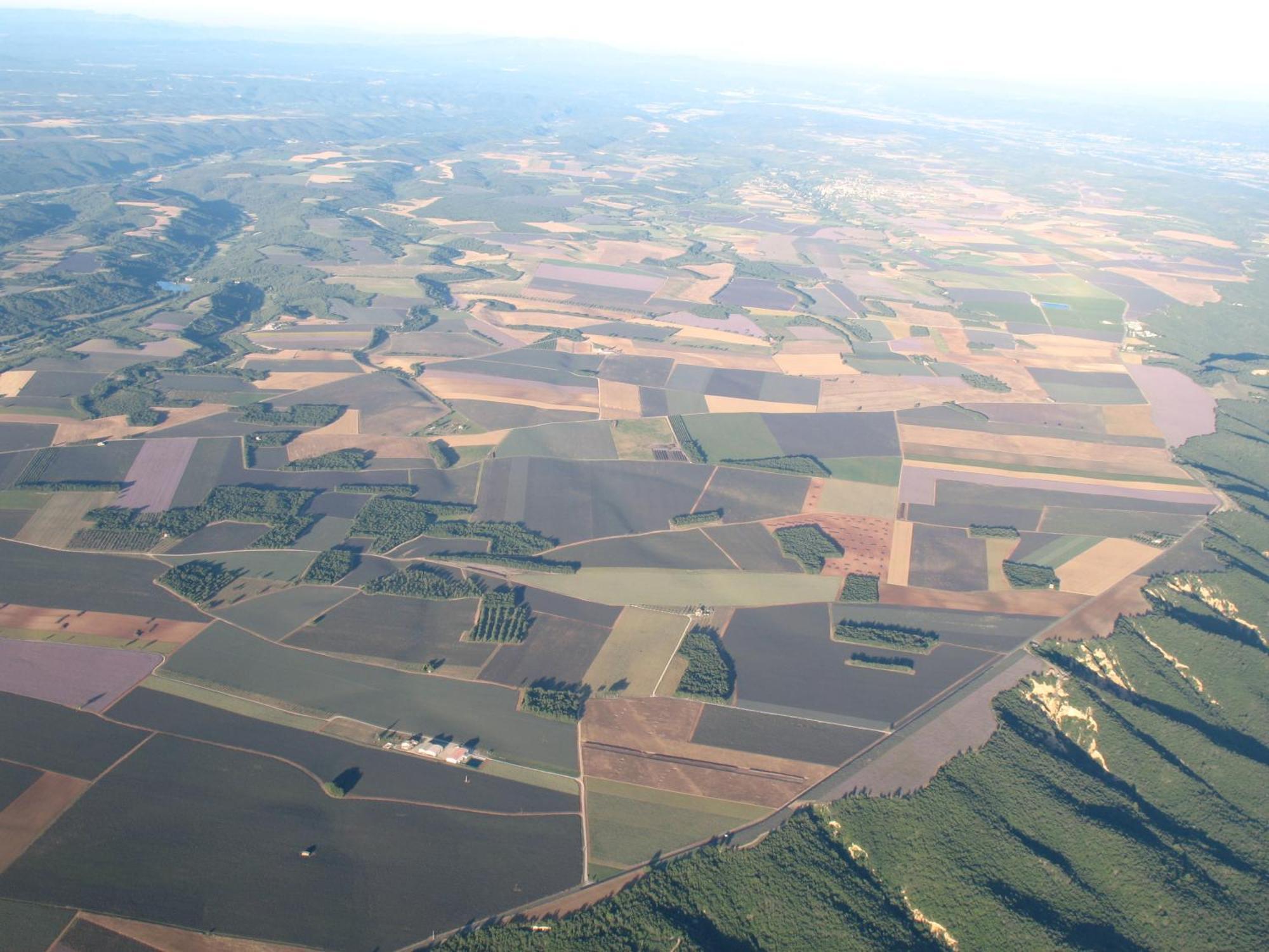 Lou Limbert Plateau De * Valensole